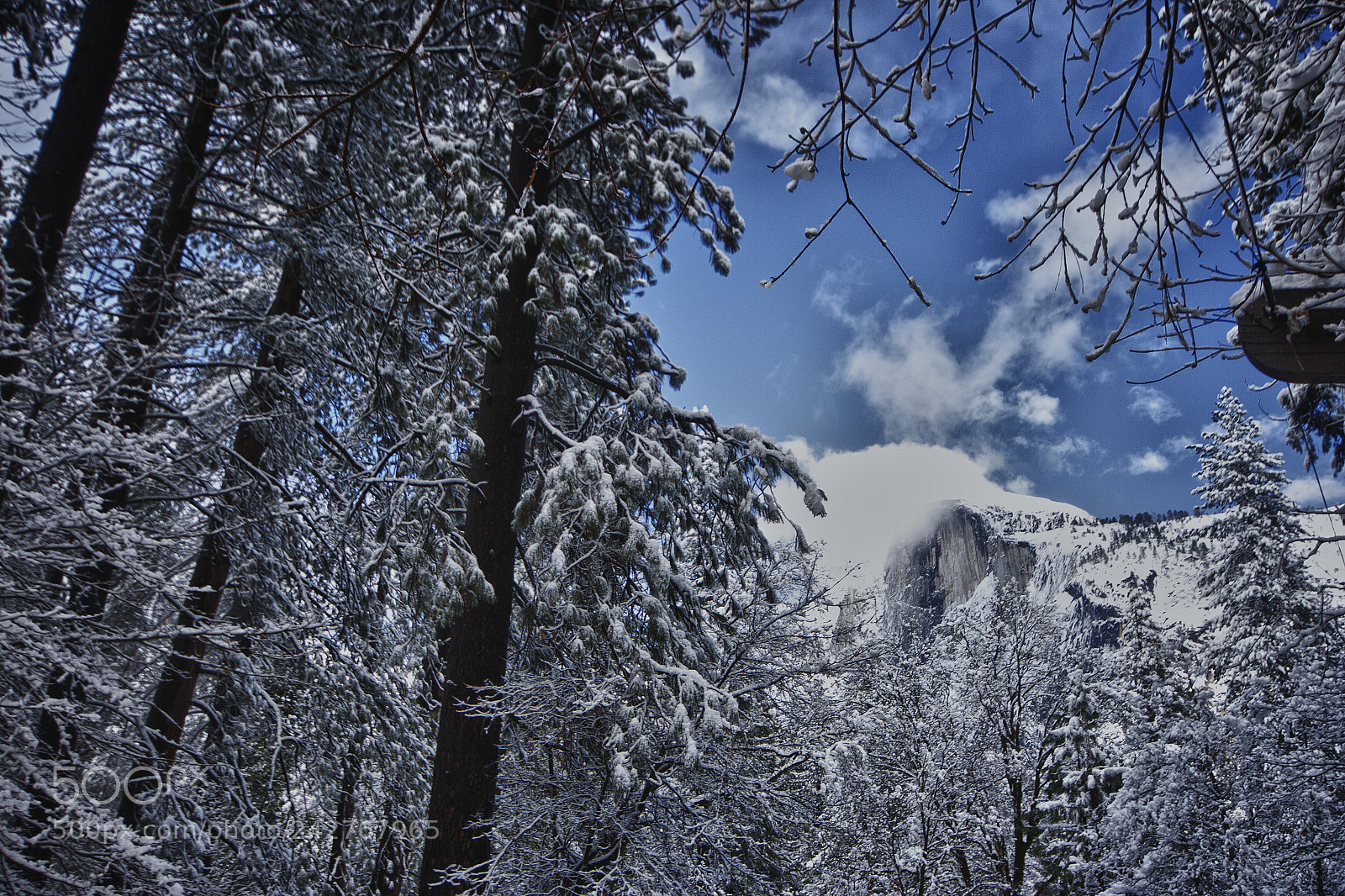 Canon EOS 400D (EOS Digital Rebel XTi / EOS Kiss Digital X) sample photo. Yosemite mountians forest photography