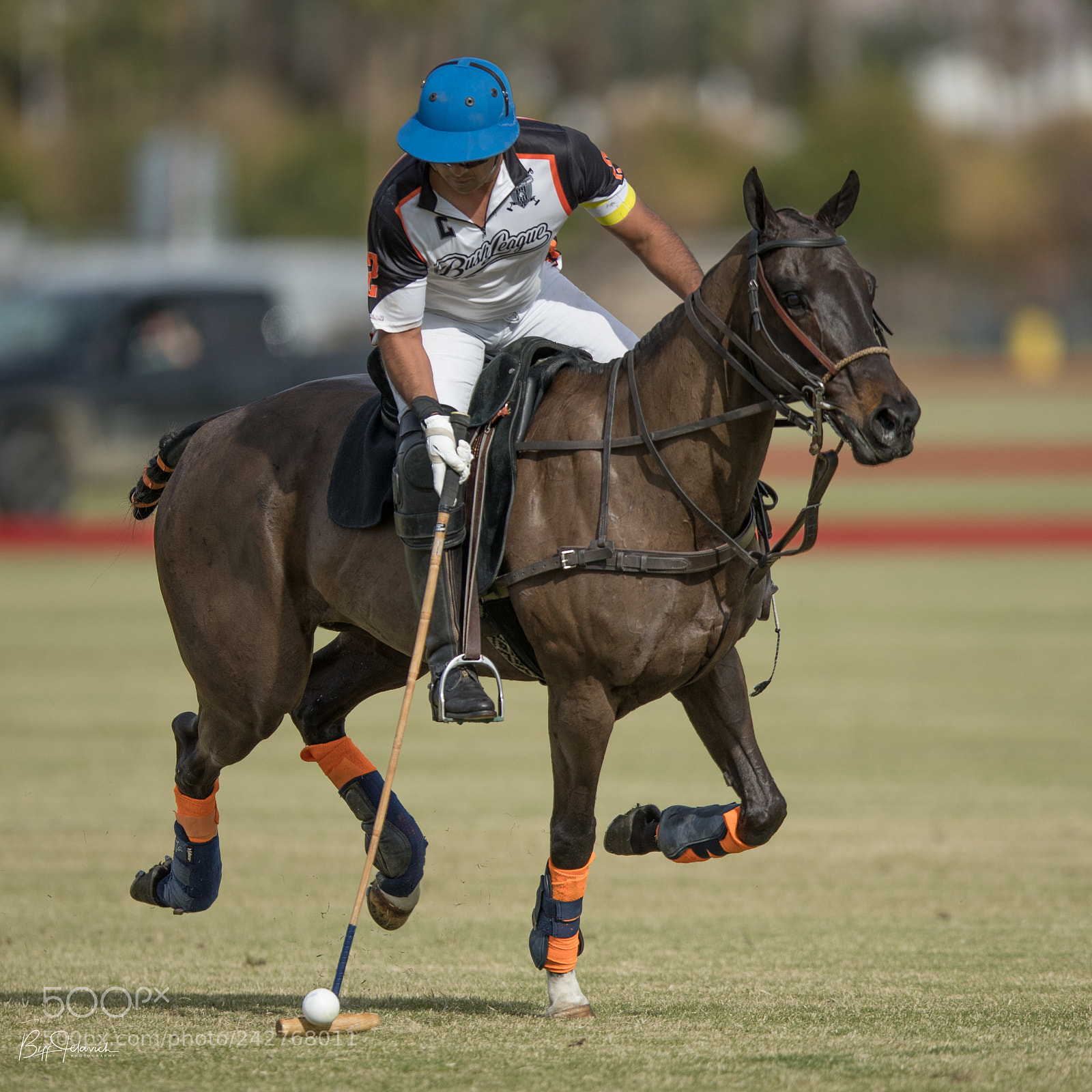 Canon EOS-1D X Mark II sample photo. Sunday polo photography