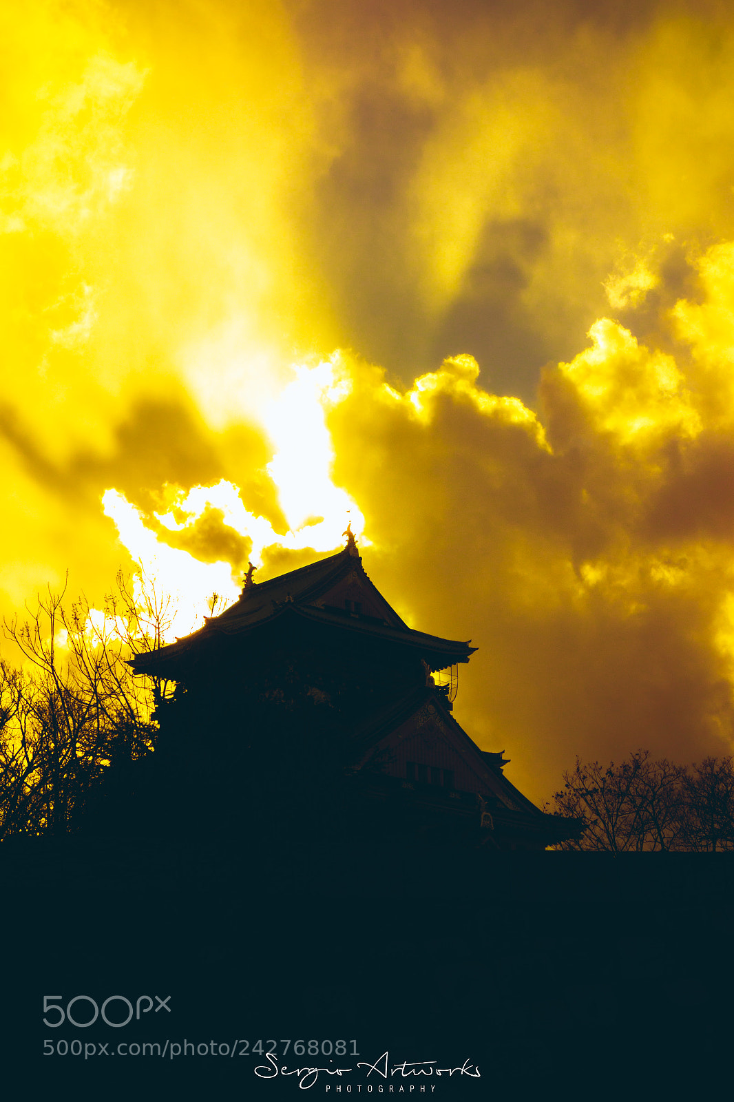 Sony Cyber-shot DSC-RX100 sample photo. Osaka castle photography