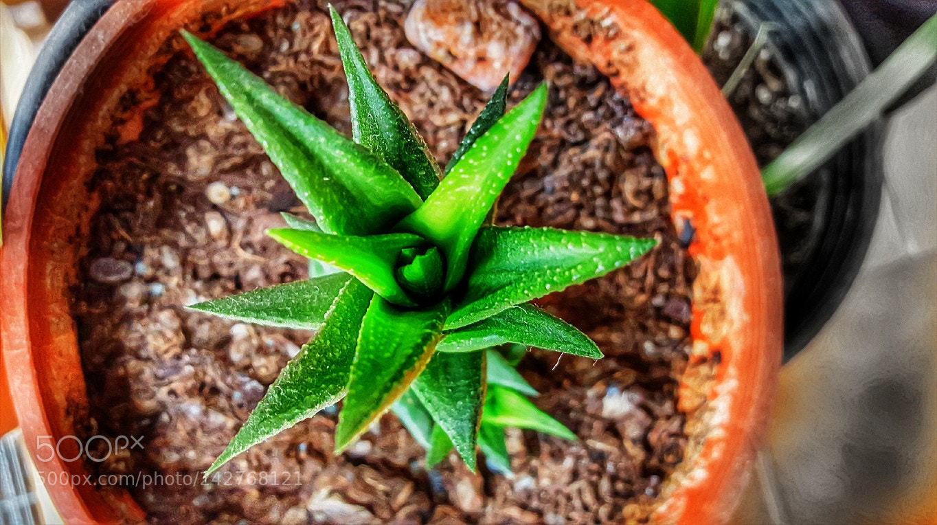 Samsung Galaxy S6 sample photo. Untitled photography
