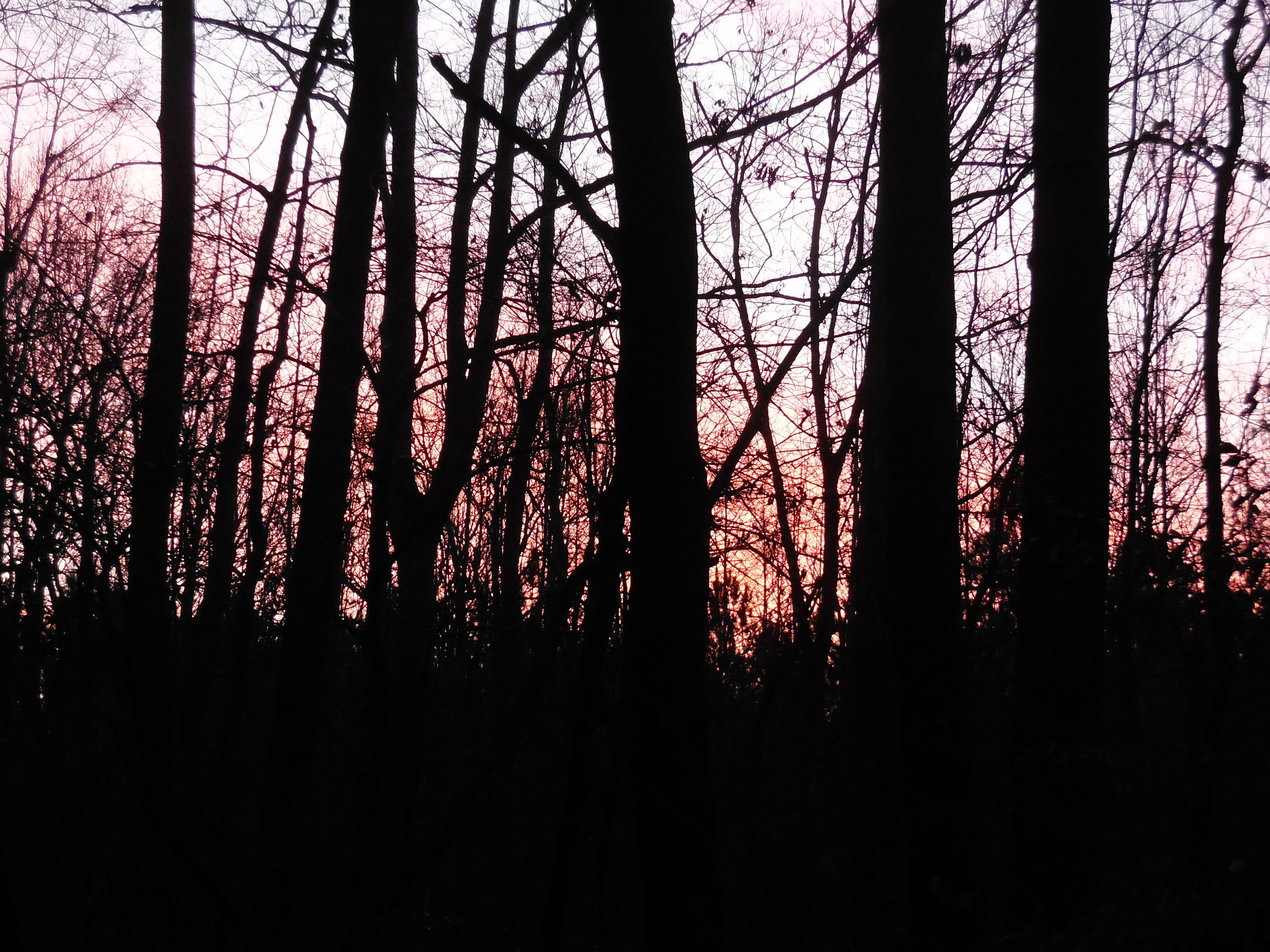 Nikon Coolpix S6500 sample photo. Gloaming photography