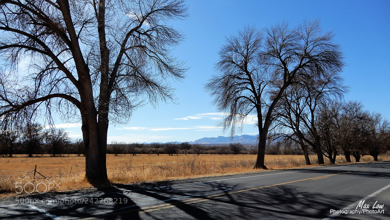 Nikon Coolpix A900 sample photo. Quiet road photography