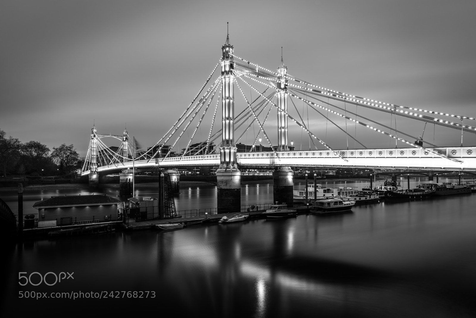 Nikon D810 sample photo. Albert bridge photography