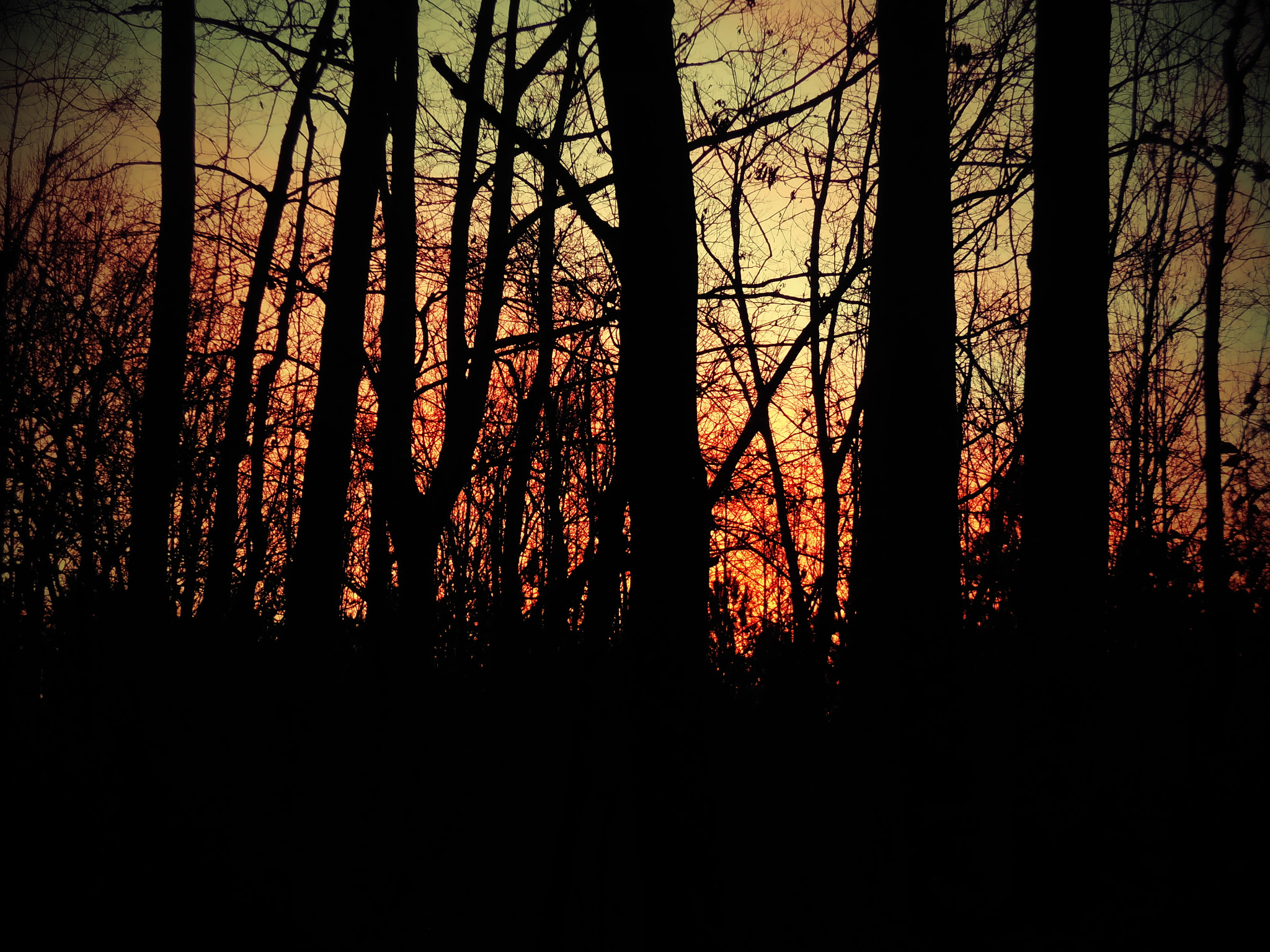 Nikon Coolpix S6500 sample photo. Gloaming photography