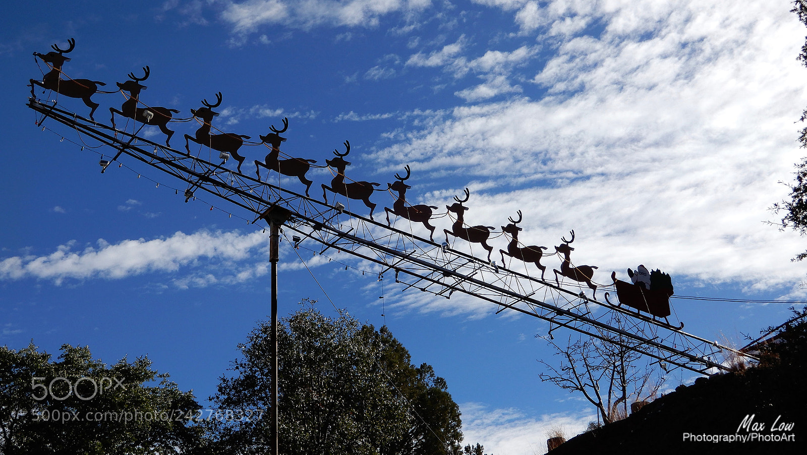 Nikon Coolpix A900 sample photo. Bisbee reindeer photography