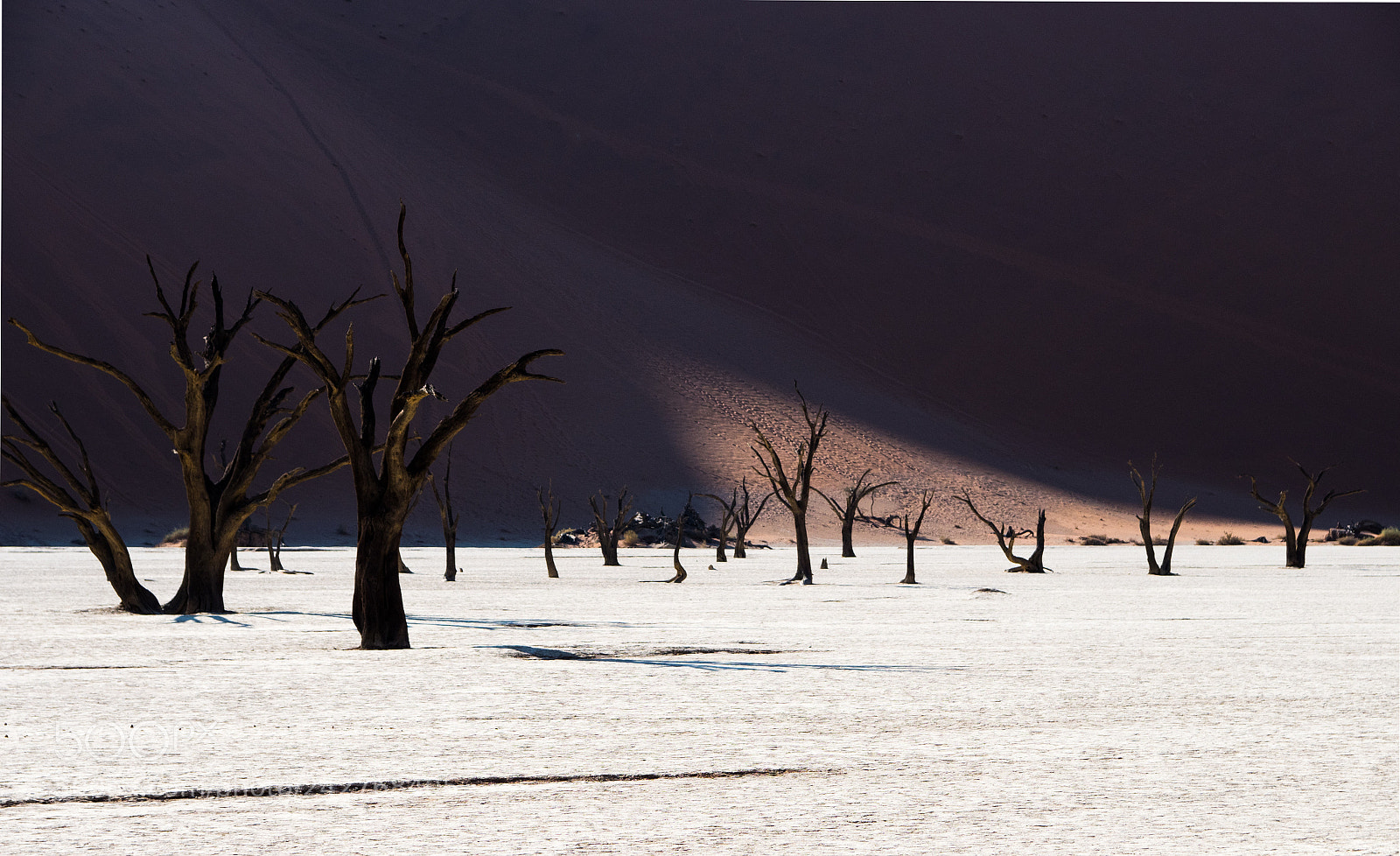 Olympus OM-D E-M1 Mark II sample photo. Dead vlei photography
