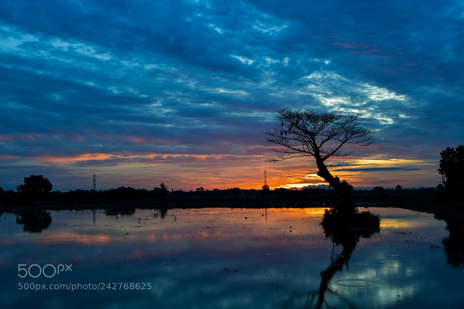 Nikon D5 sample photo. Sunrise over lake. photography