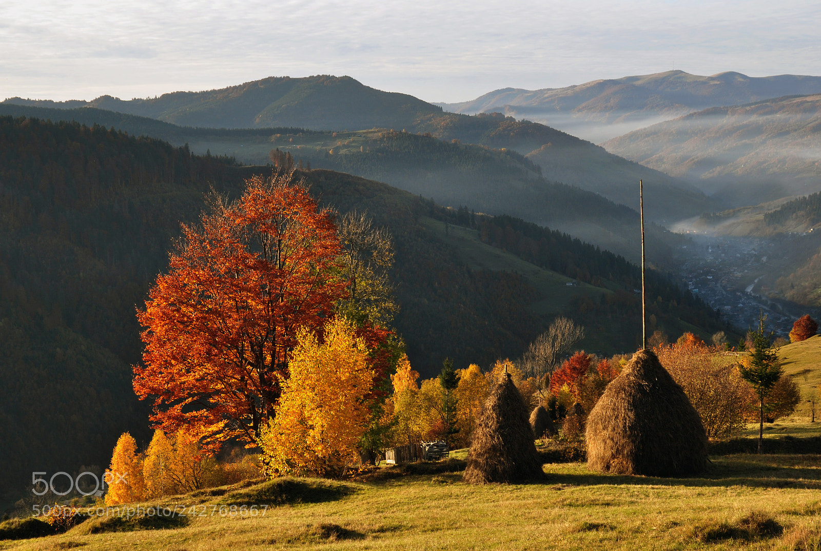 Nikon D5000 sample photo. Carpathian autumn photography