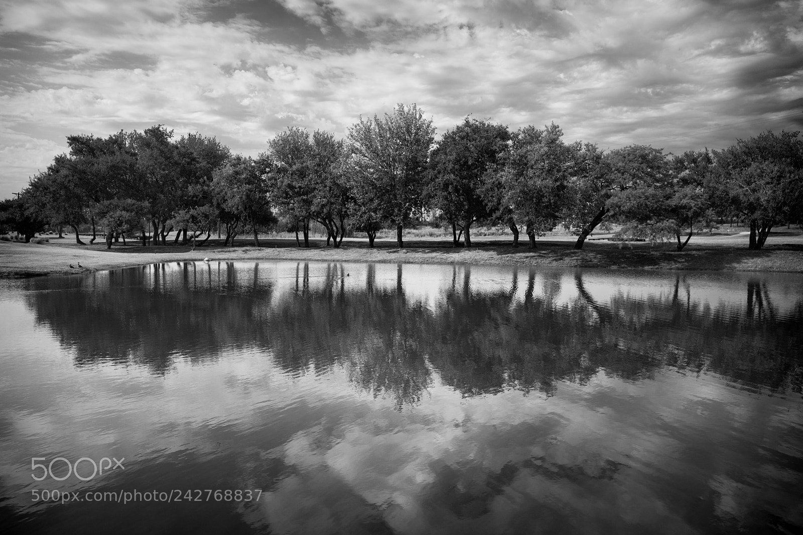 Leica Q (Typ 116) sample photo. Reflejos en valle del photography
