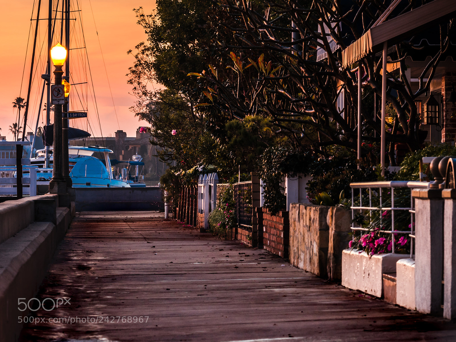 Canon EOS 77D (EOS 9000D / EOS 770D) sample photo. Stroll photography