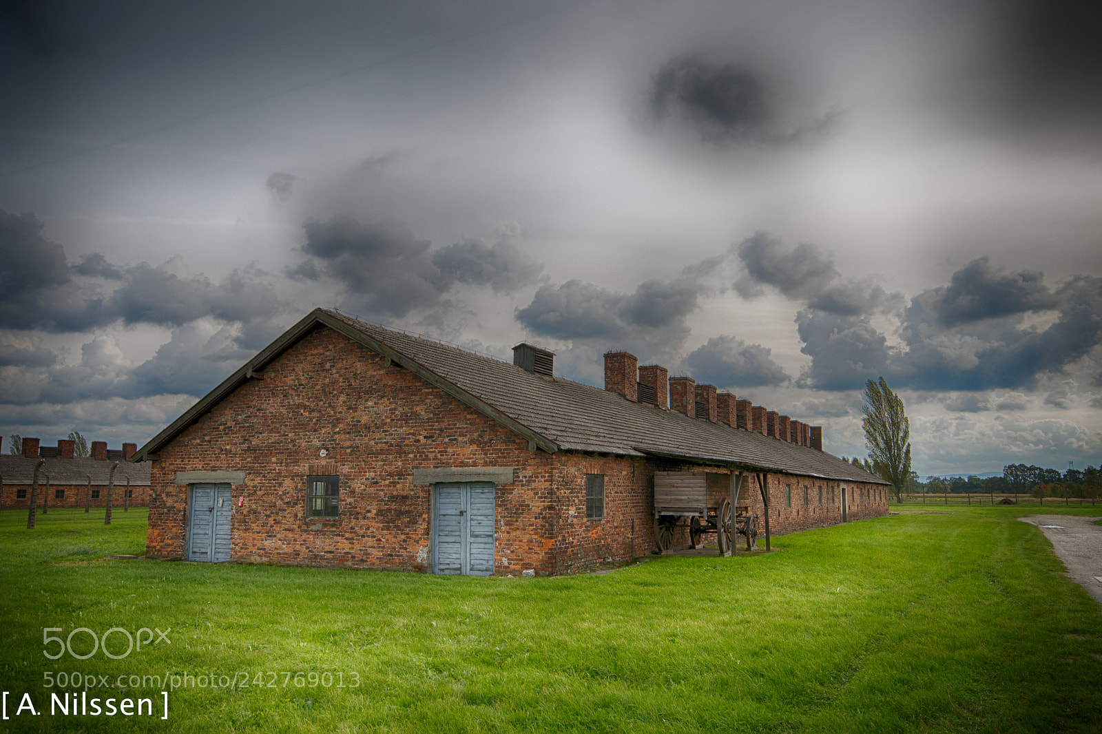 Nikon D500 sample photo. Auschwitz 2 : birkenau photography