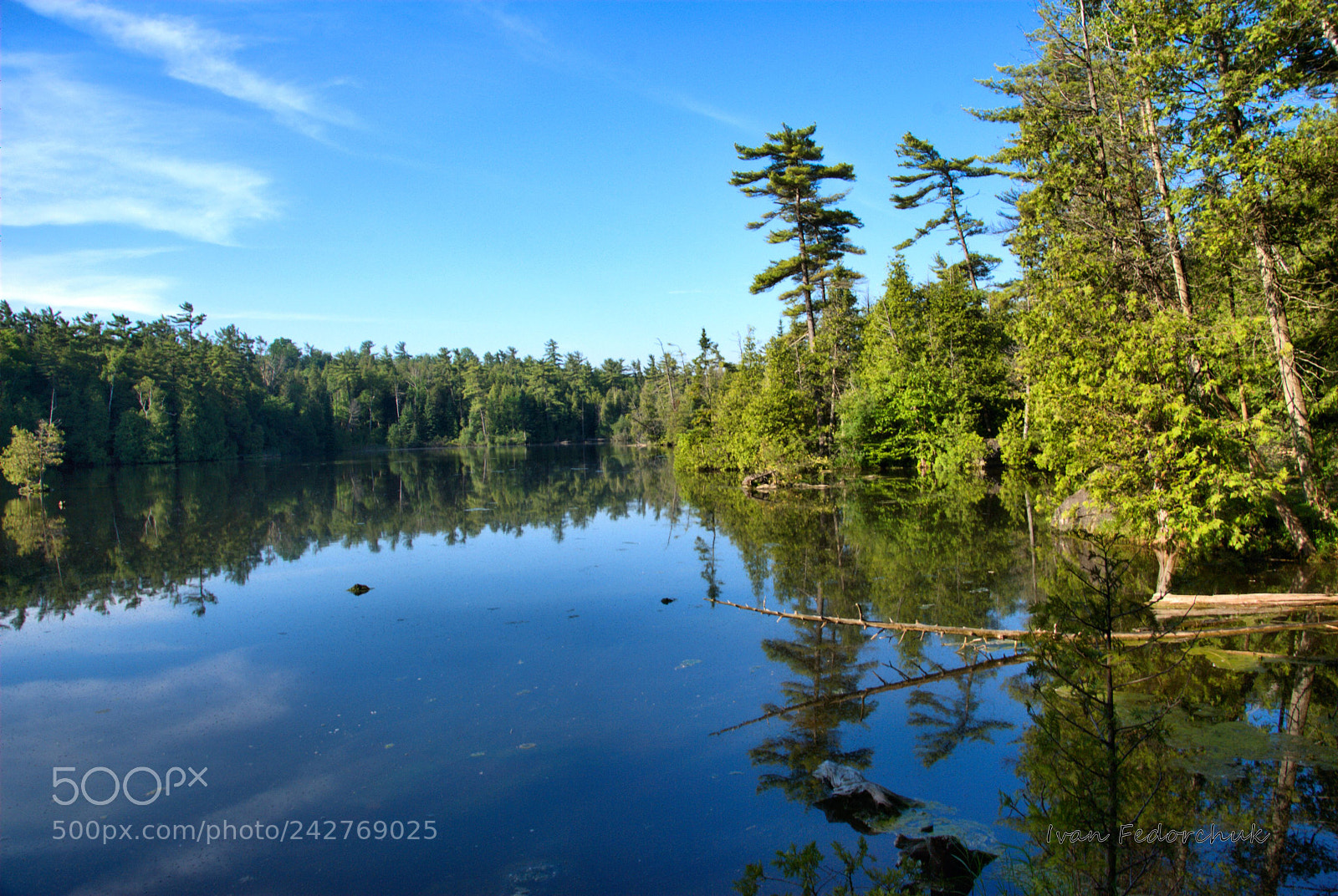 Nikon D80 sample photo. 203 -1.jpg photography