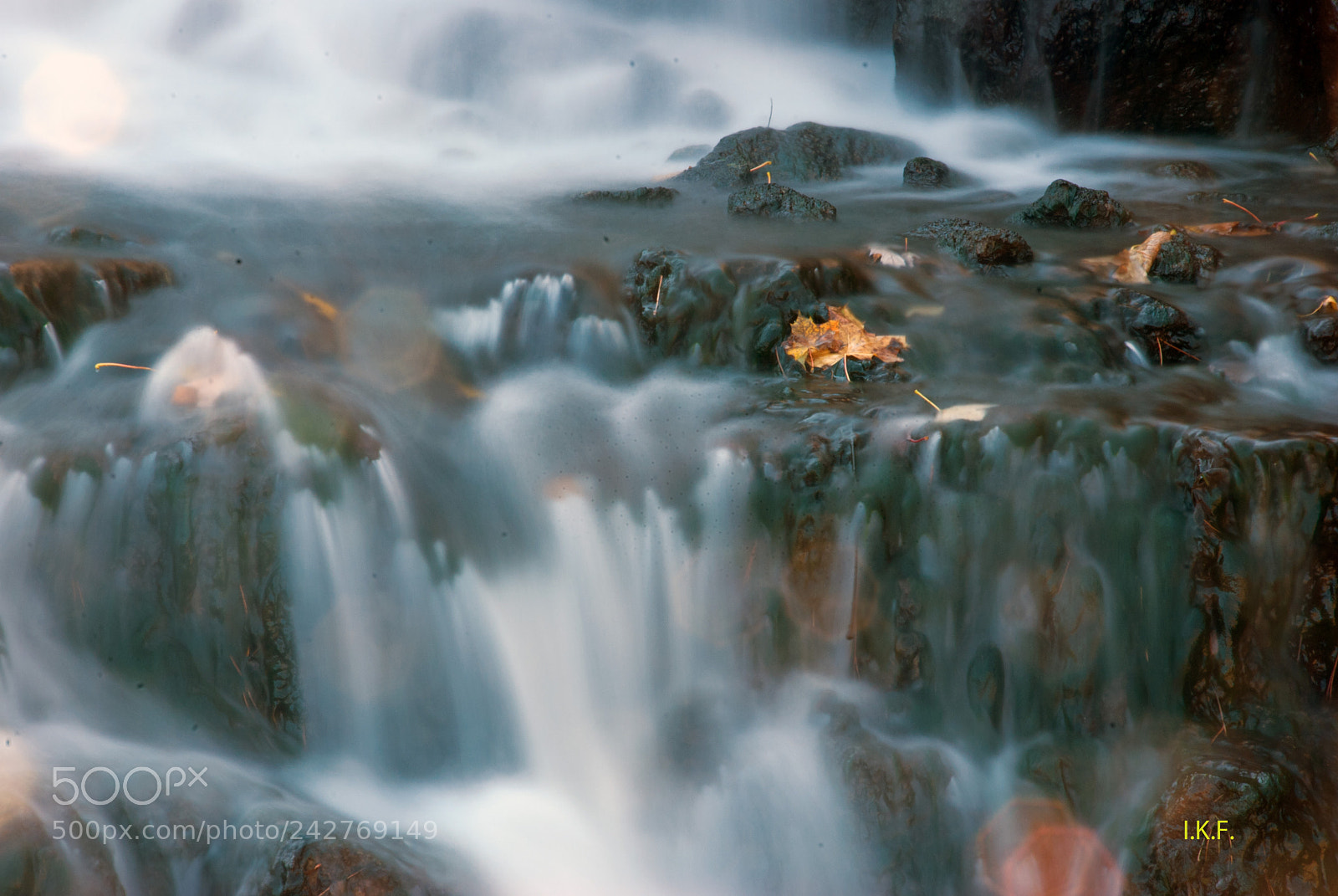 Nikon D80 sample photo. Hamilton falls 2 167.jpg photography