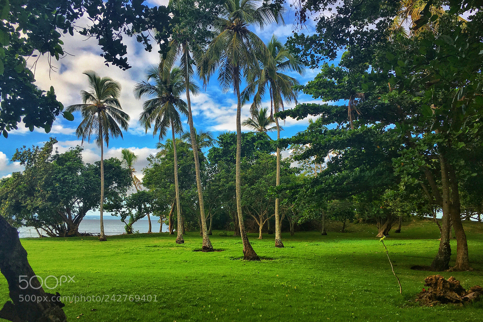 Apple iPhone 6s sample photo. Cayo levantado aka bacardi photography
