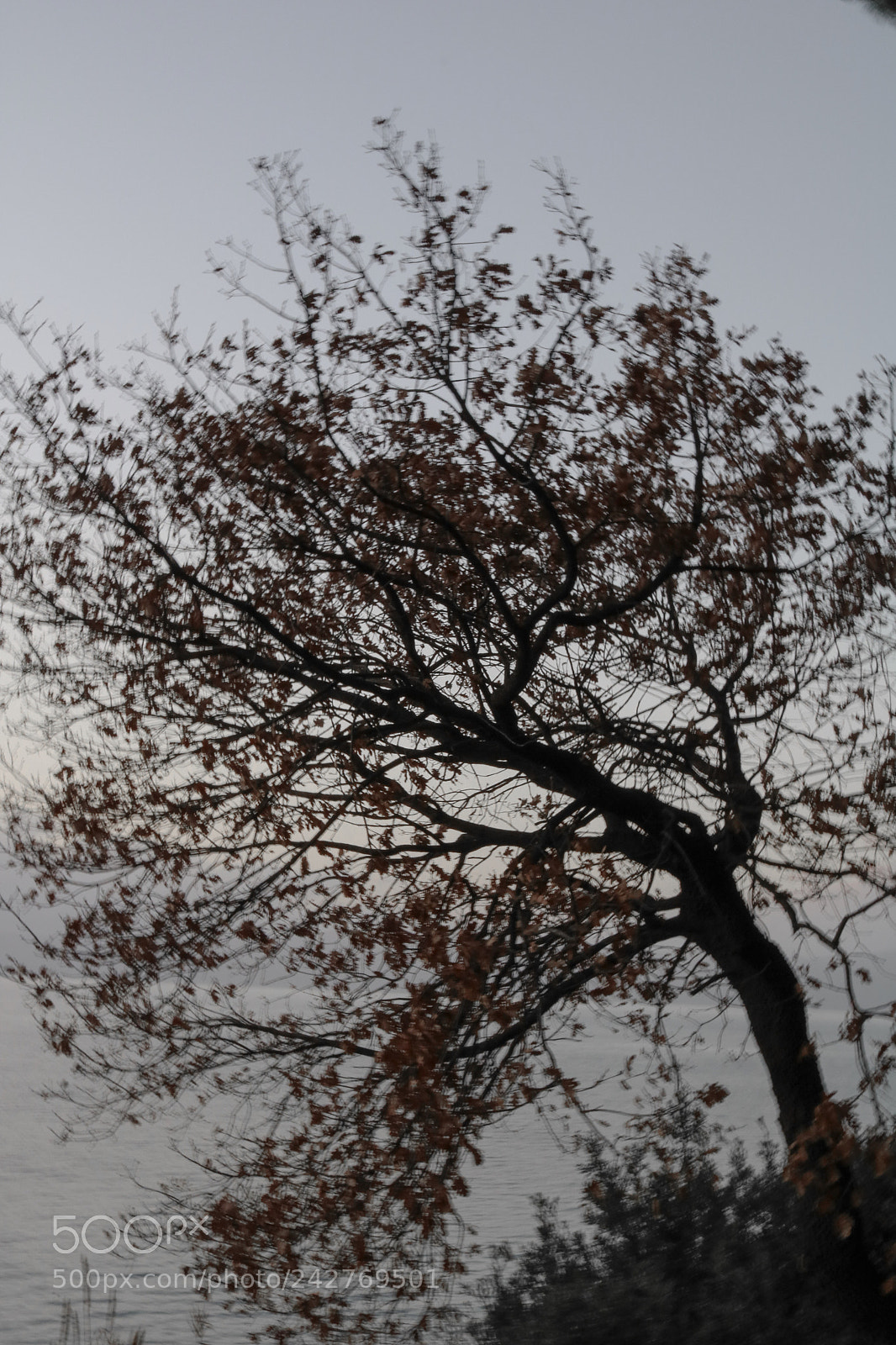 Canon EOS 750D (EOS Rebel T6i / EOS Kiss X8i) sample photo. Keep on moving. photography