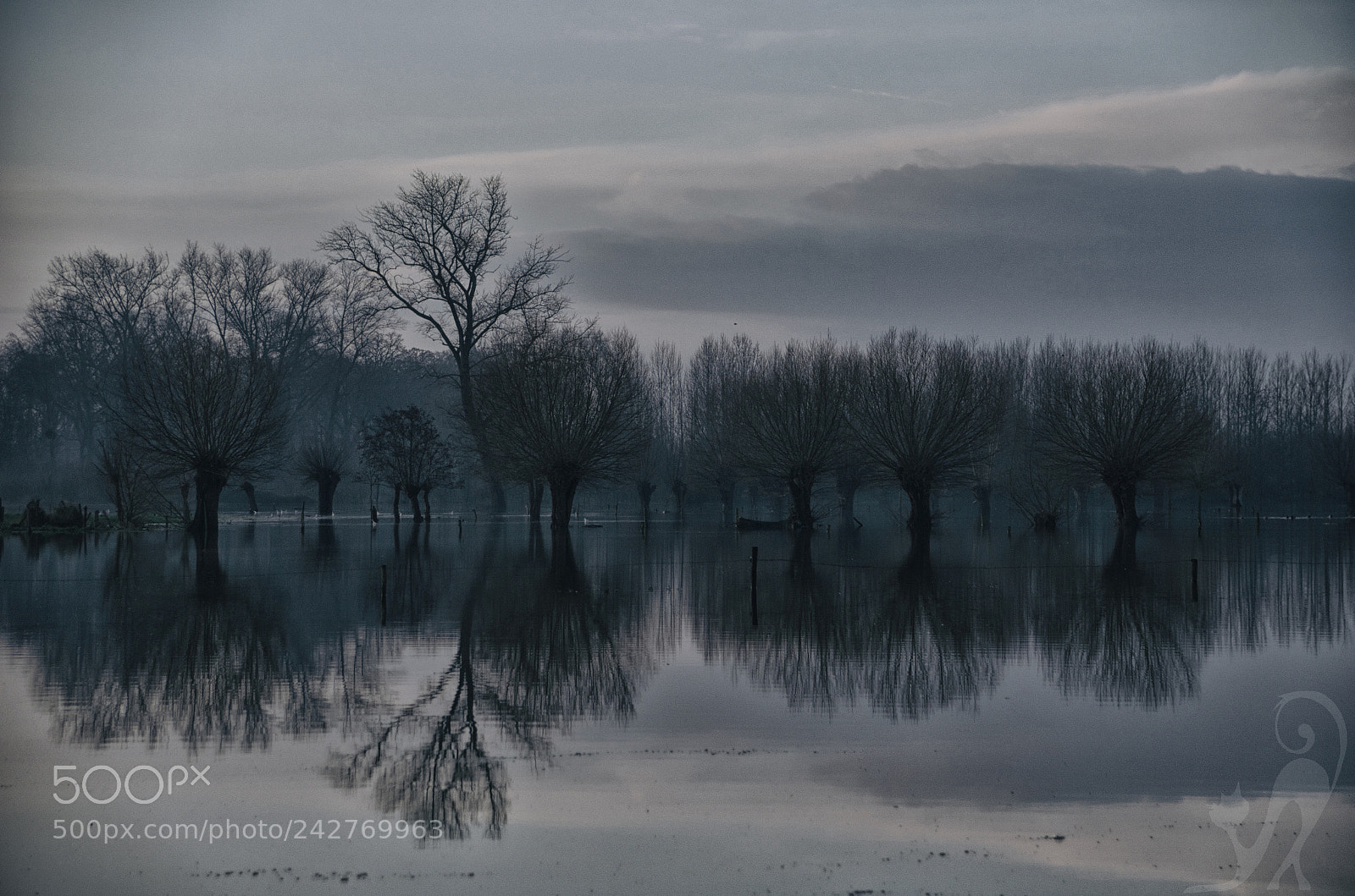 Nikon D5100 sample photo. 'lake' photography