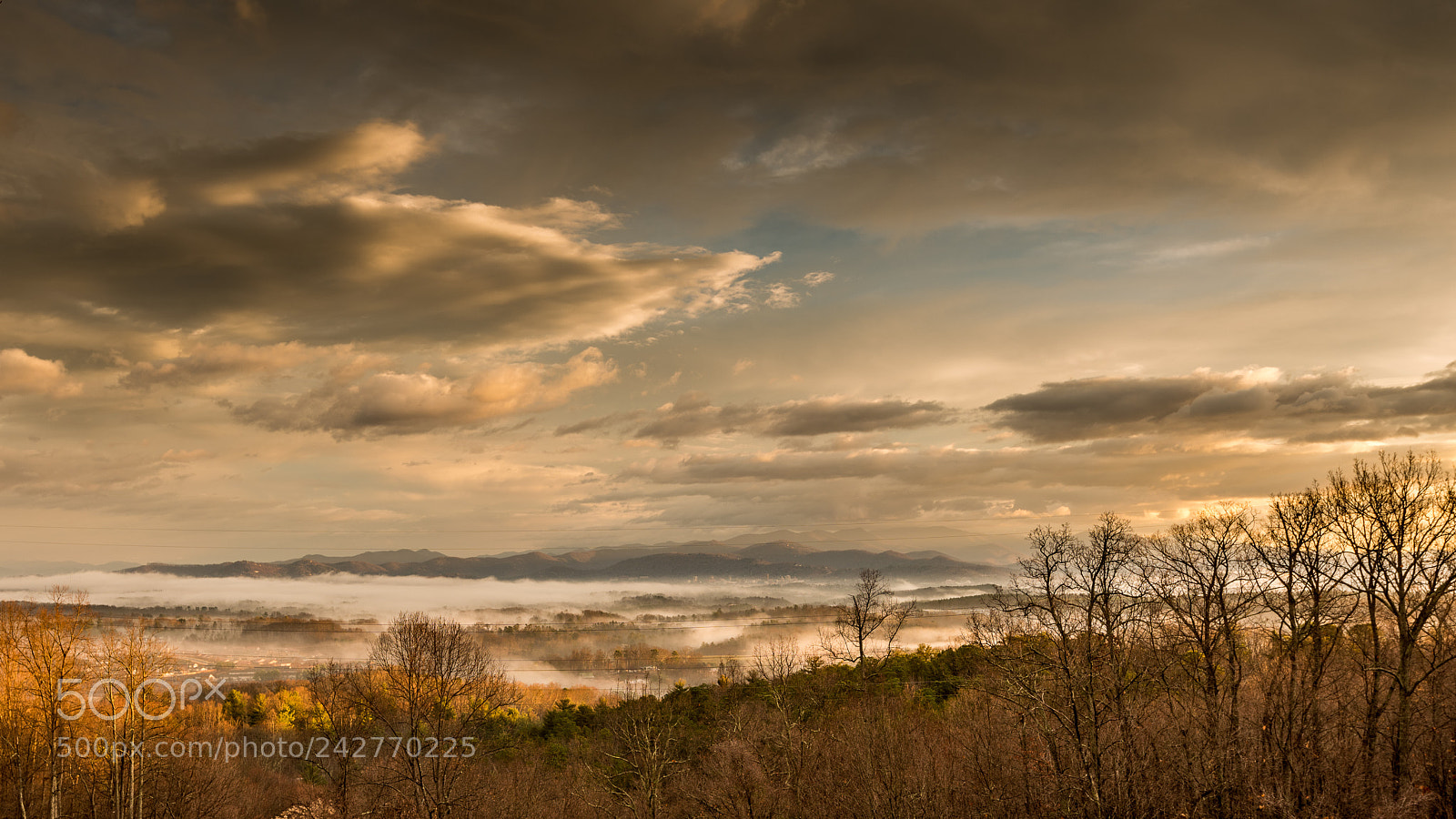 Nikon D810 sample photo. My view photography