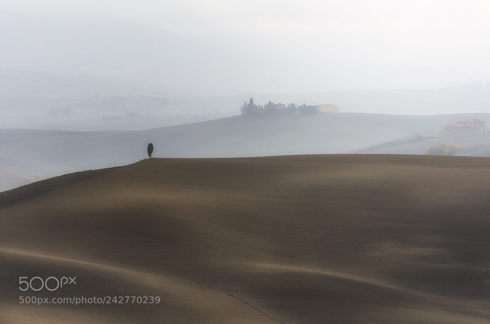 Nikon D7100 sample photo. The solitary cypress photography
