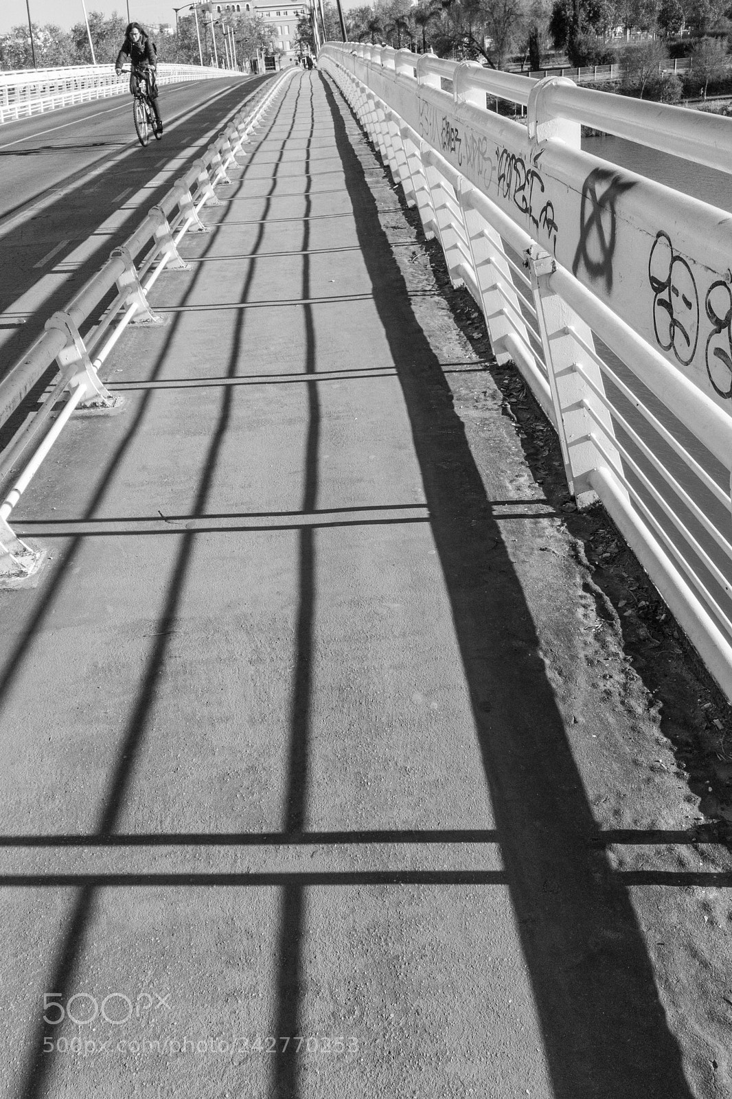 Apple iPhone SE sample photo. 16_365 photography