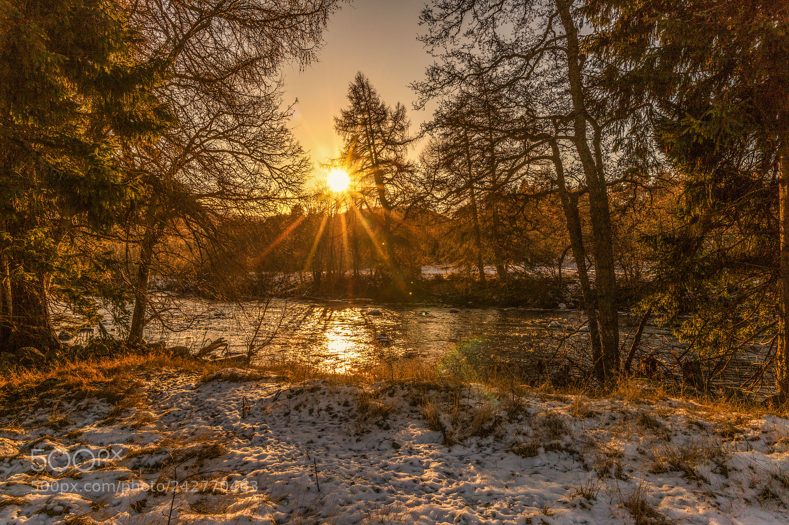 Canon EOS 6D Mark II sample photo. Winter walk along the photography