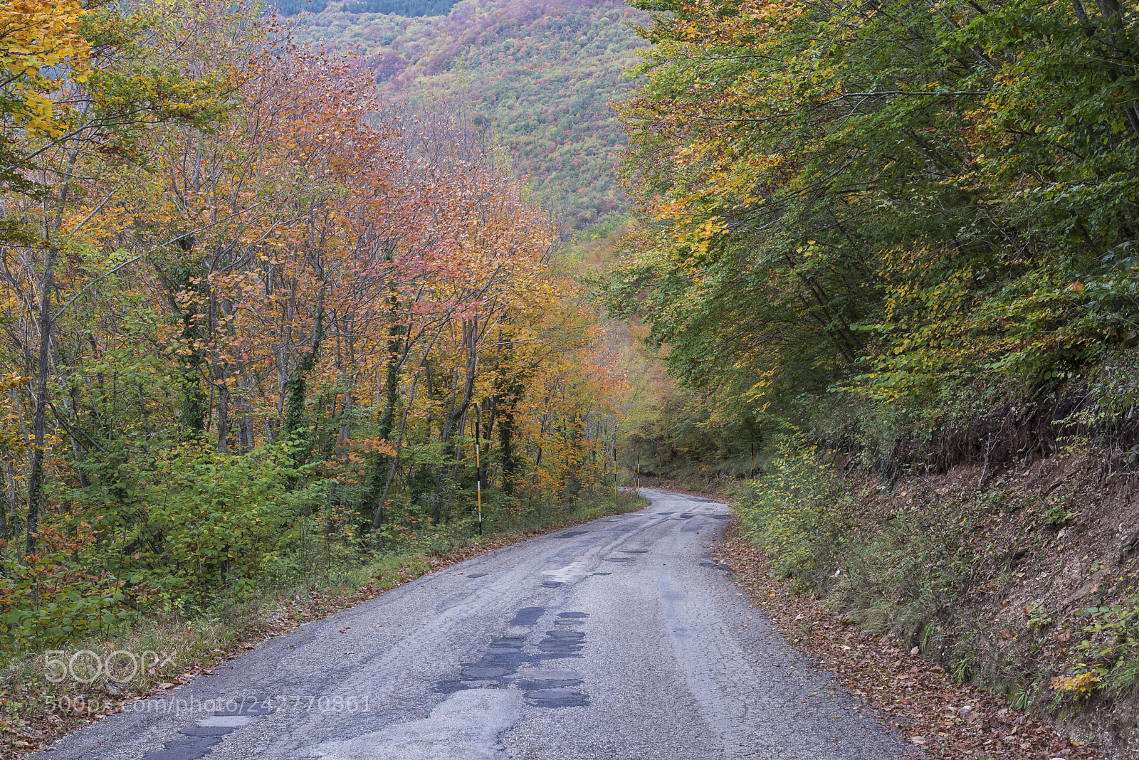 Nikon D600 sample photo. Turns ahead photography