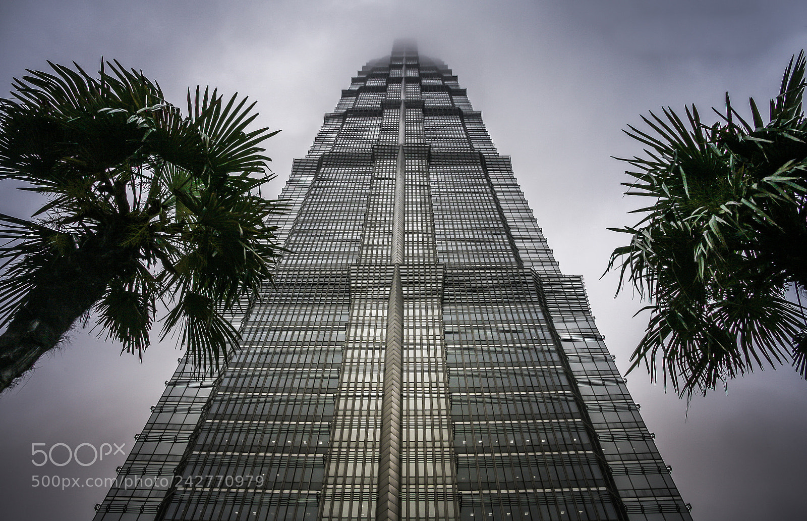 Canon EOS 5D sample photo. Skyscraper in rain photography