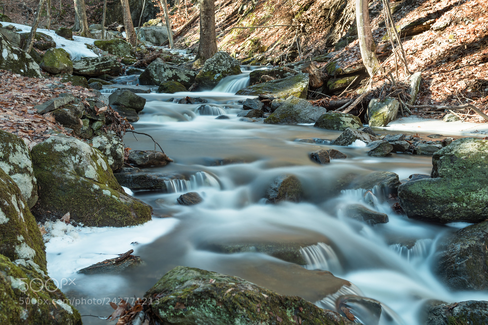 Nikon D810 sample photo. Silky smooth photography