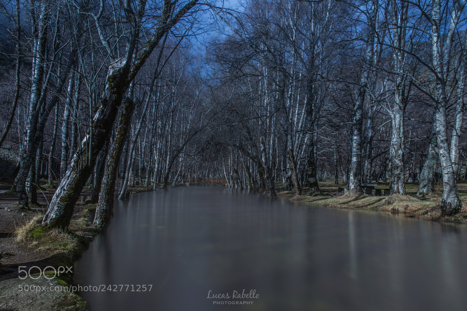 Nikon D810 sample photo. Cold cold water photography