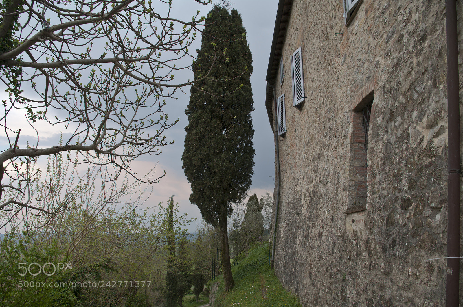 Pentax K20D sample photo. The quiet evening of photography