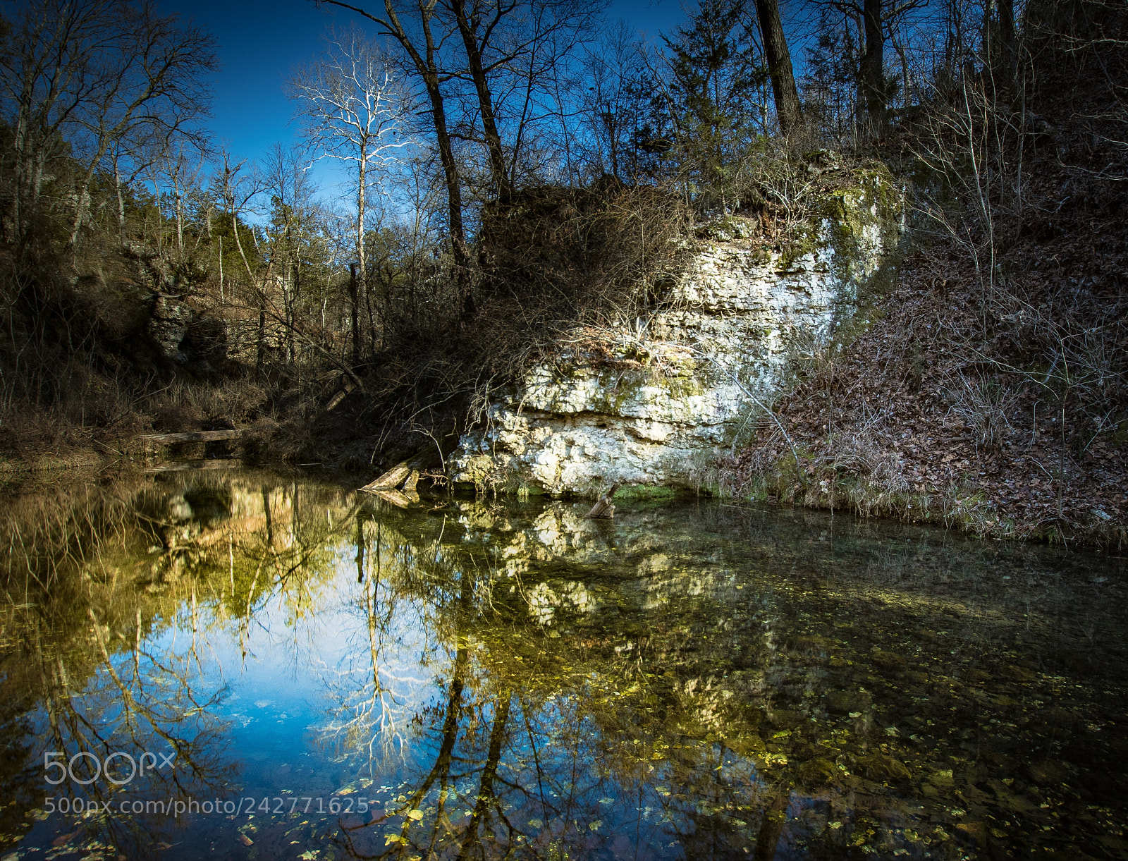 Nikon D500 sample photo. Reflections in the stream photography