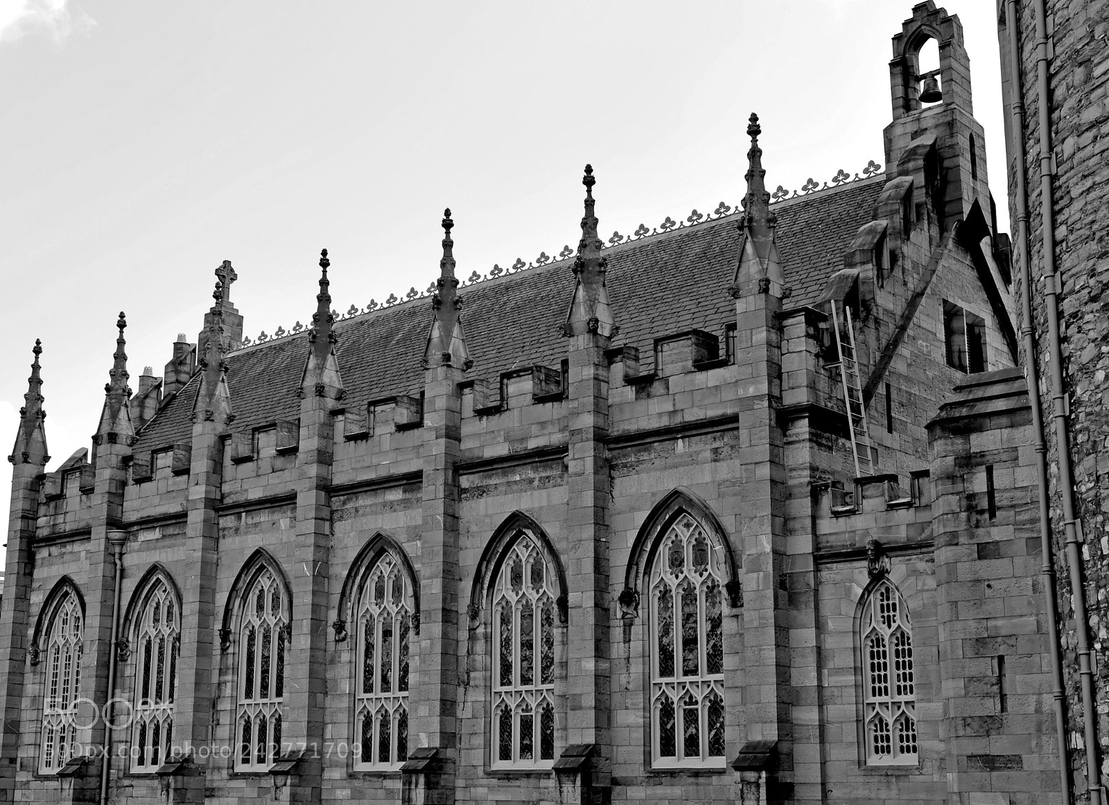 Nikon D700 sample photo. Dublin irlande photography