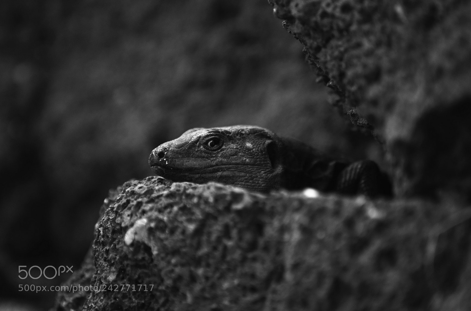 Nikon D5100 sample photo. Sonnenbad photography