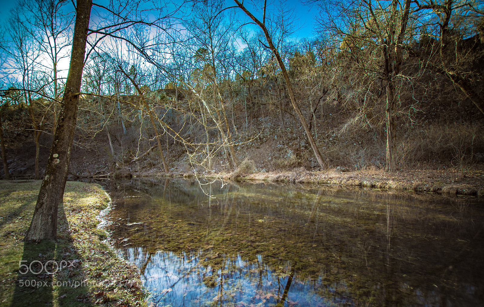 Nikon D500 sample photo. Natural stream photography