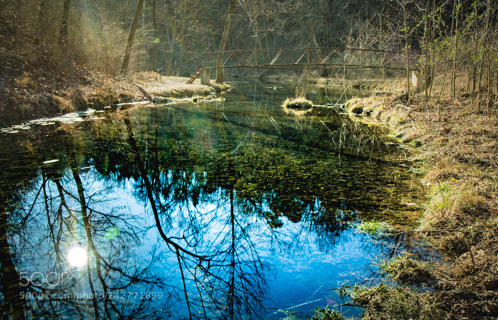 Nikon D500 sample photo. Reflecting colors photography