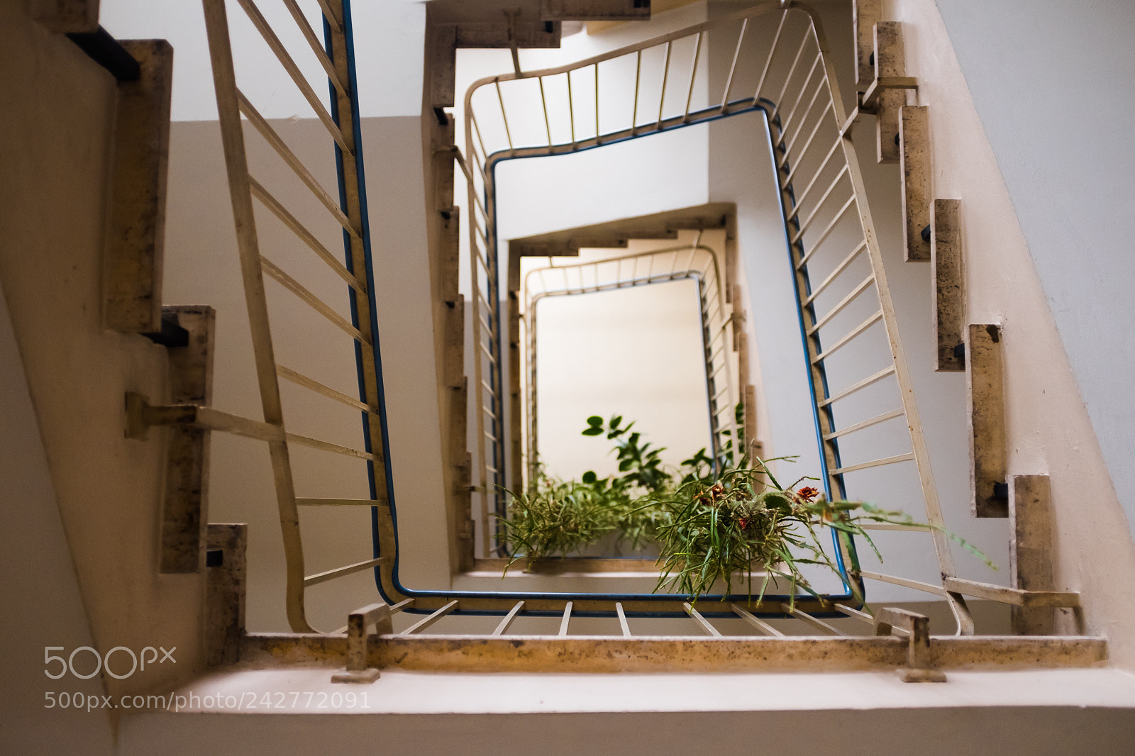 Fujifilm X100F sample photo. Climbing down photography