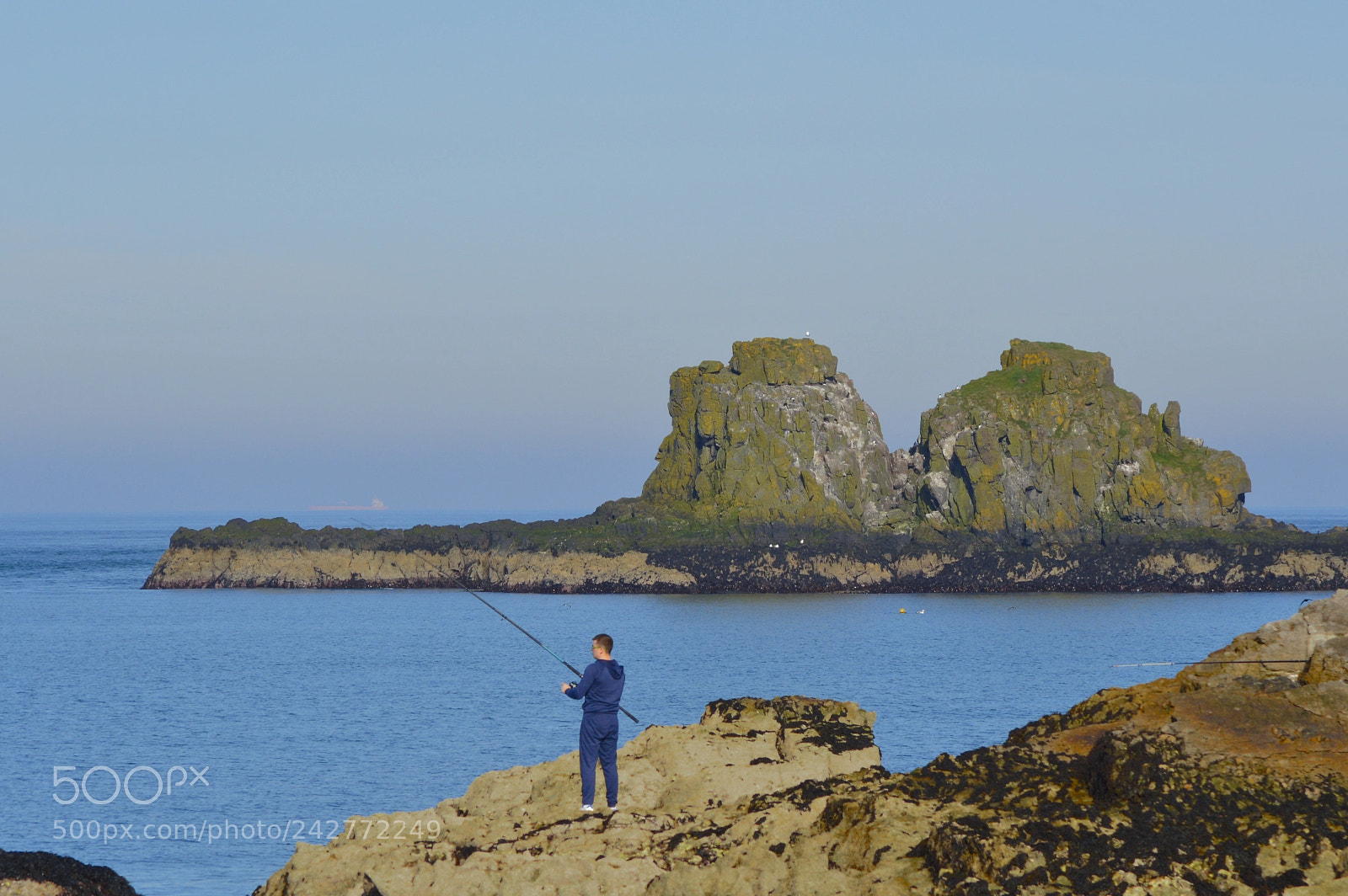 Nikon D3200 sample photo. Yellow submarine photography