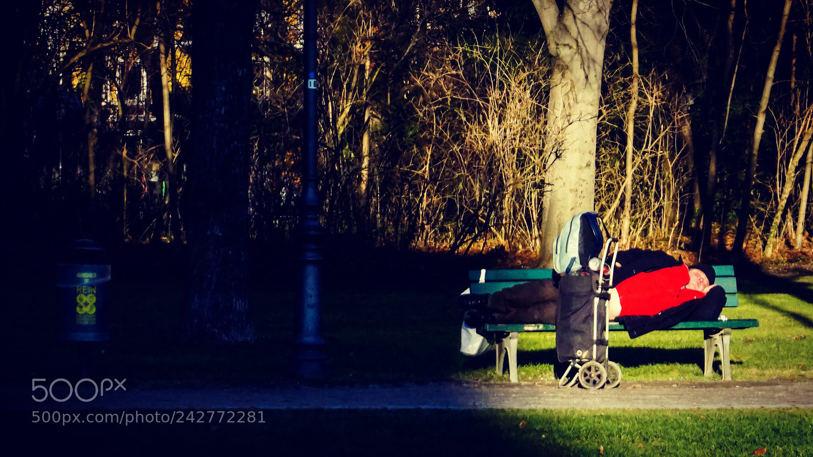 Sony a5100 sample photo. Untitled photography