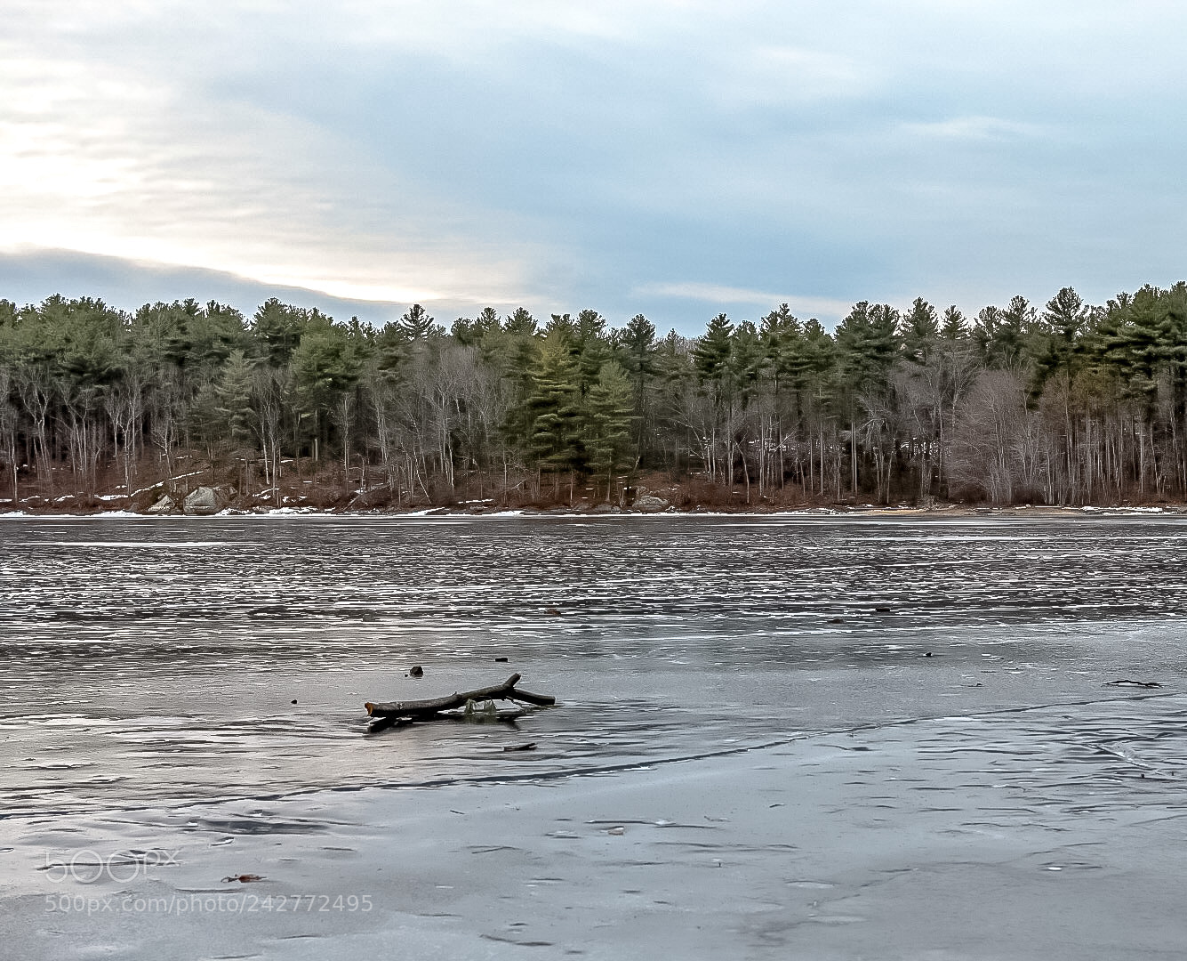 Nikon D7200 sample photo. Lonely stick photography