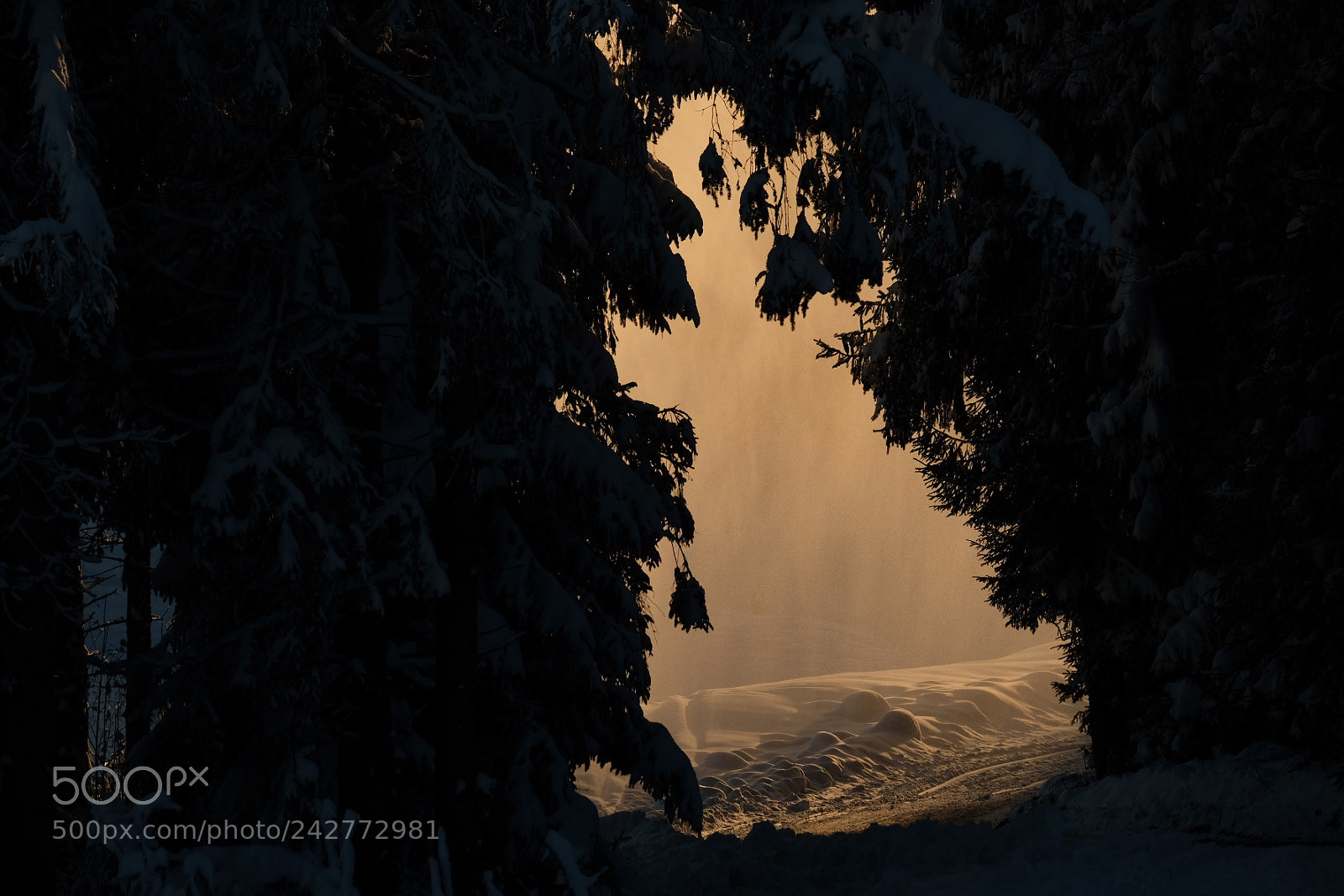 Fujifilm X-T20 sample photo. Winter photography