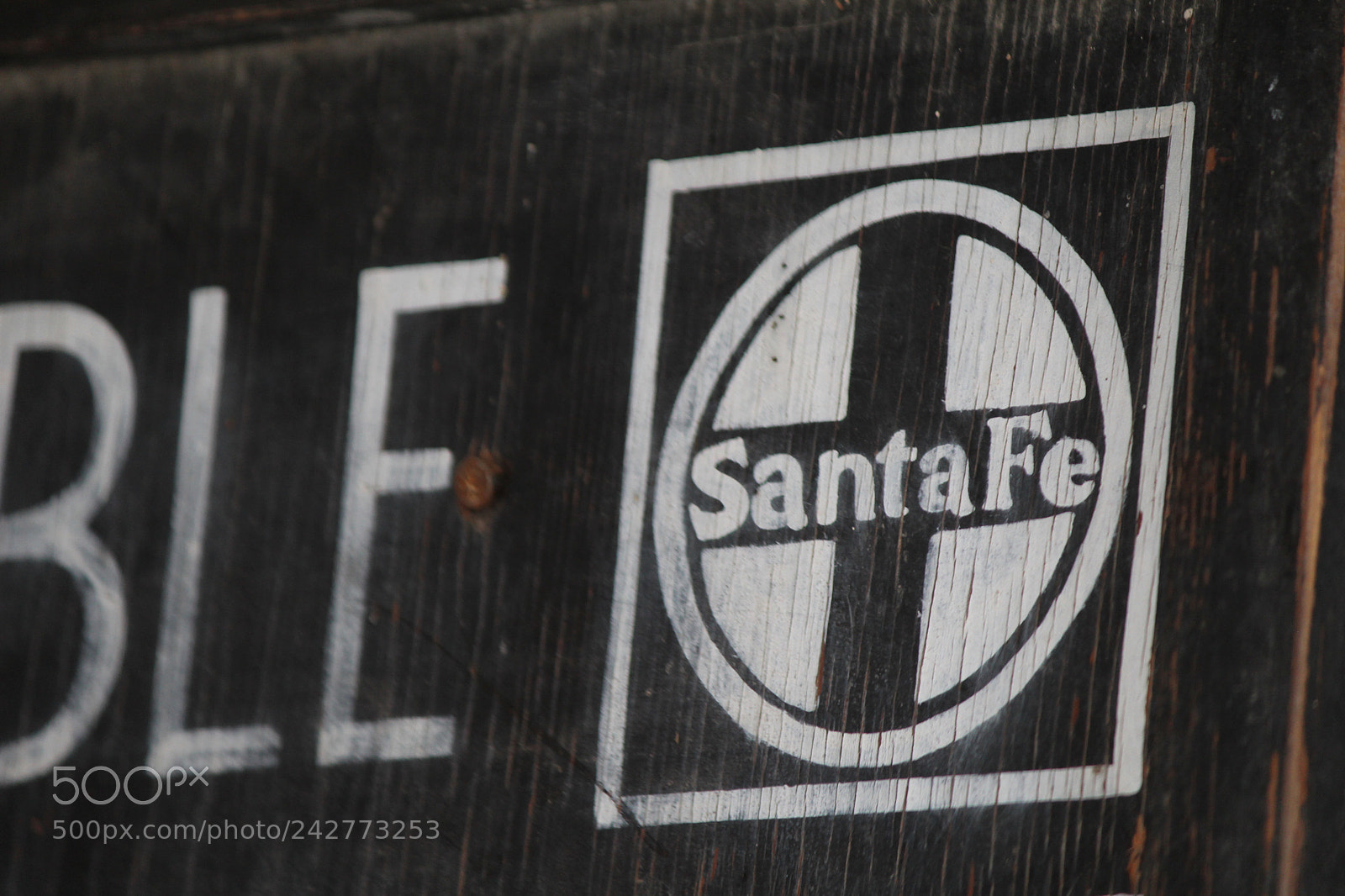 Canon EF-S 55-250mm F4-5.6 IS II sample photo. Img photography
