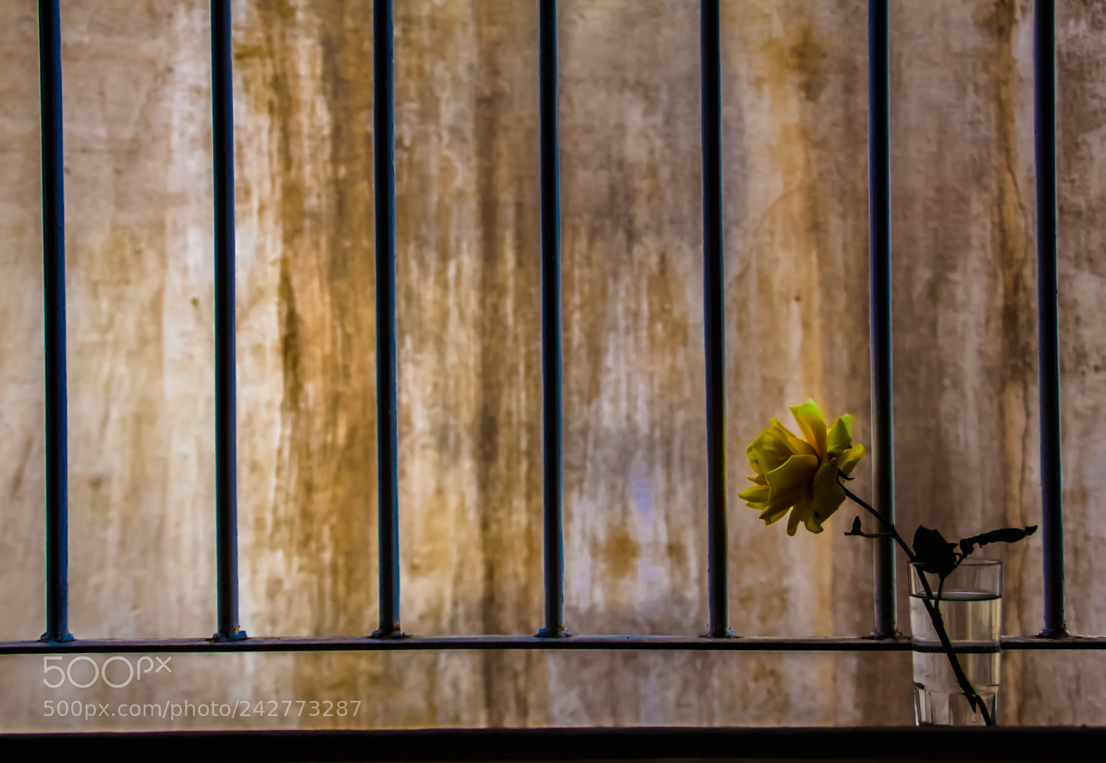 Canon EOS 500D (EOS Rebel T1i / EOS Kiss X3) sample photo. Life behind walls photography