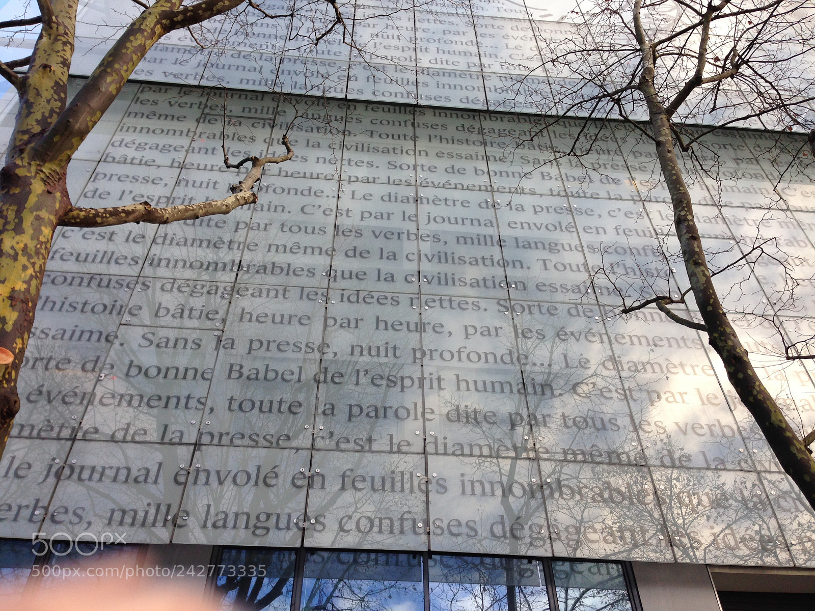 Apple iPhone 5 sample photo. Img photography