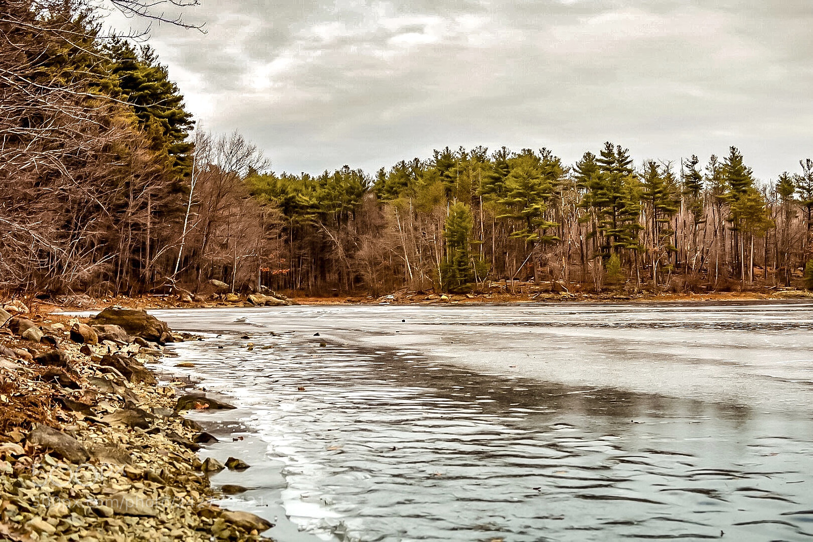 Nikon D7200 sample photo. Earlier photography
