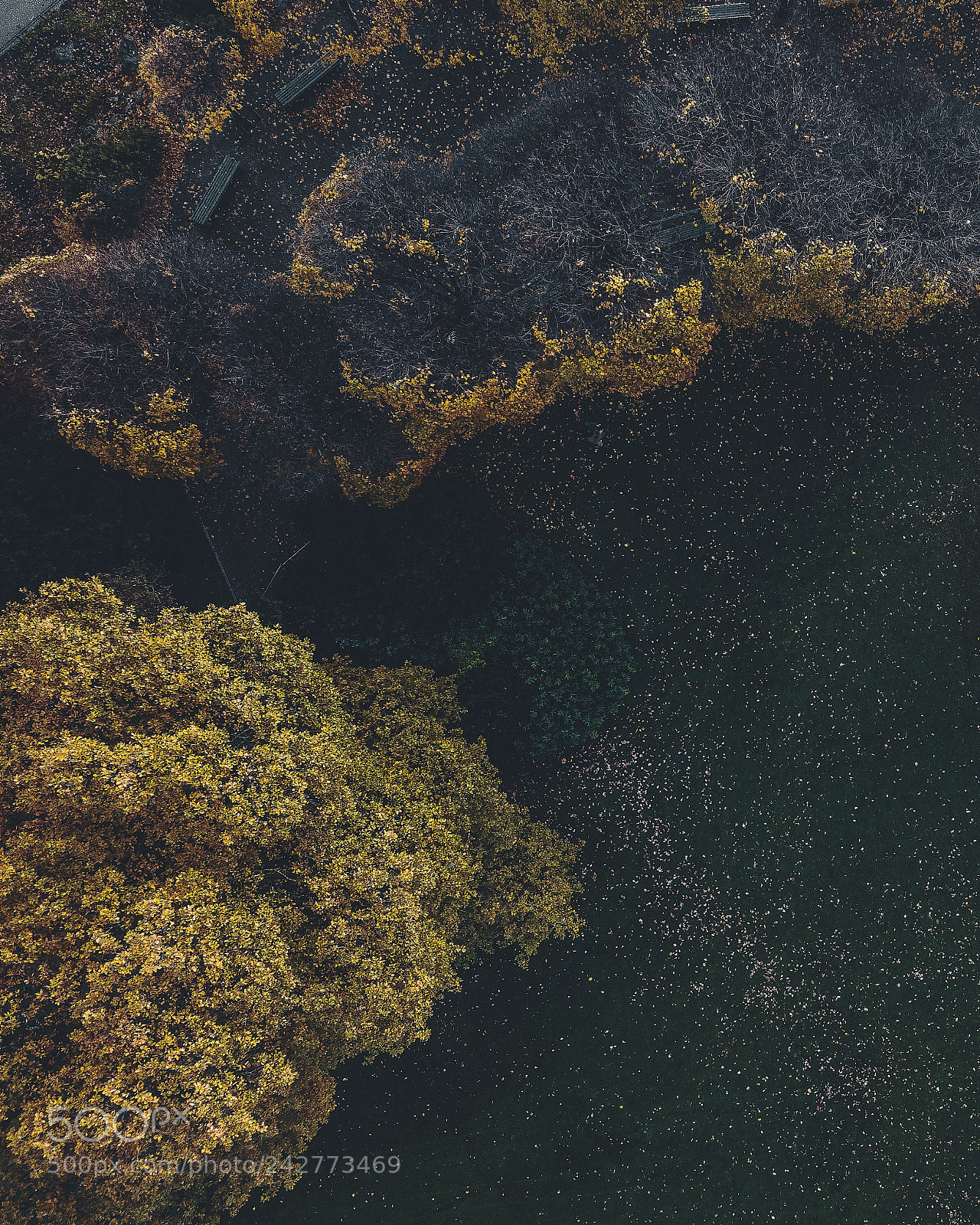 DJI FC220 sample photo. Missing summer photography