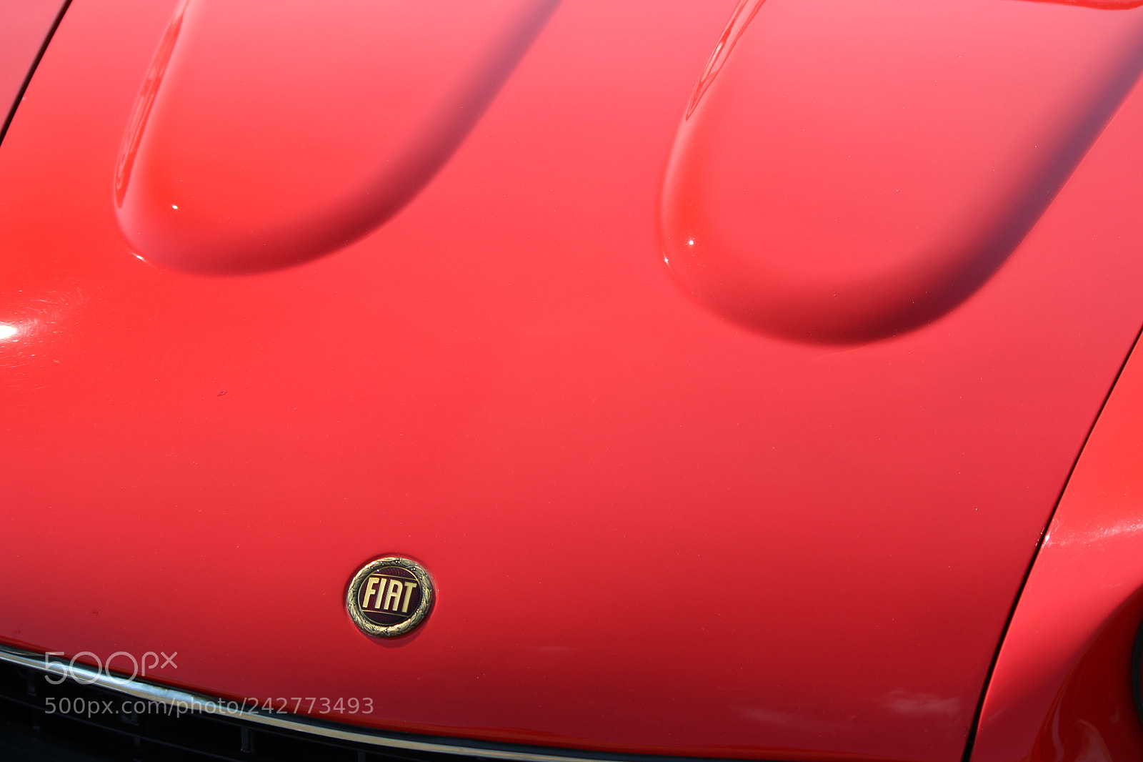 Canon EF-S 55-250mm F4-5.6 IS II sample photo. Fiat hood photography