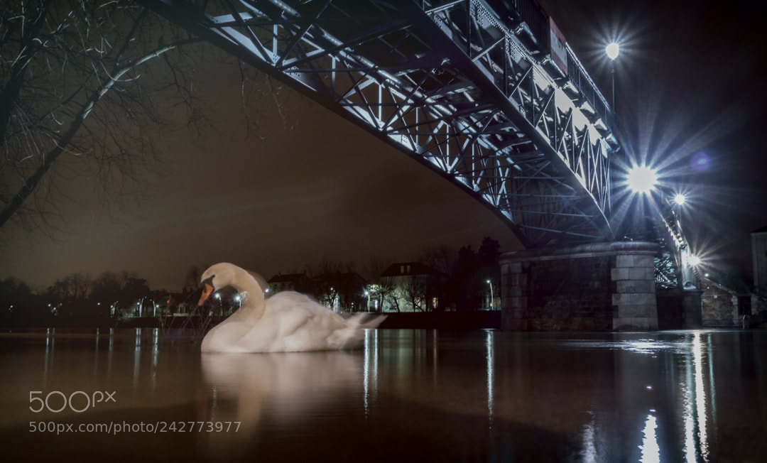 Sony Cyber-shot DSC-RX100 III sample photo. Under the bridge photography