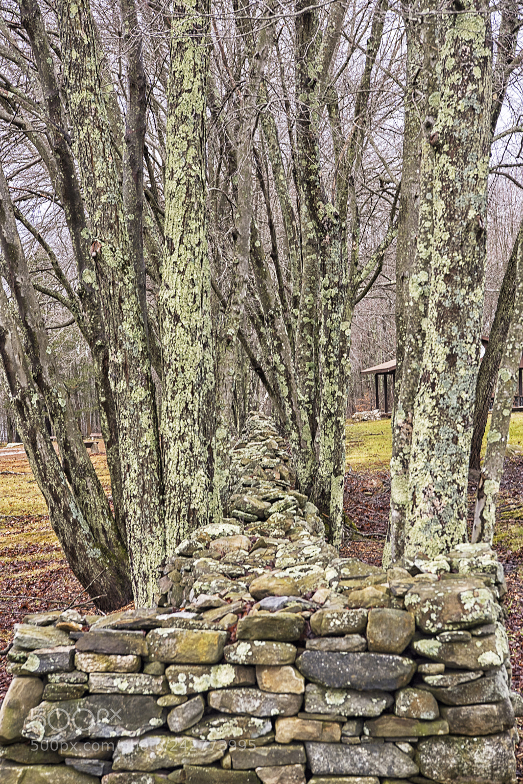 Nikon D810 sample photo. Stone wall at bolton photography