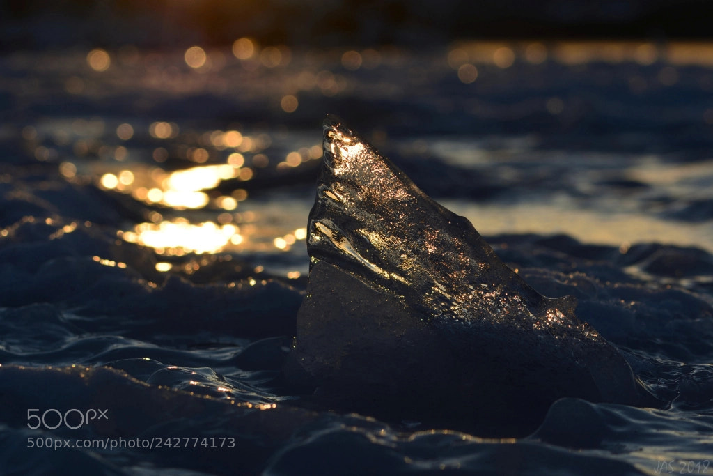 Nikon D7100 sample photo. Icy day photography