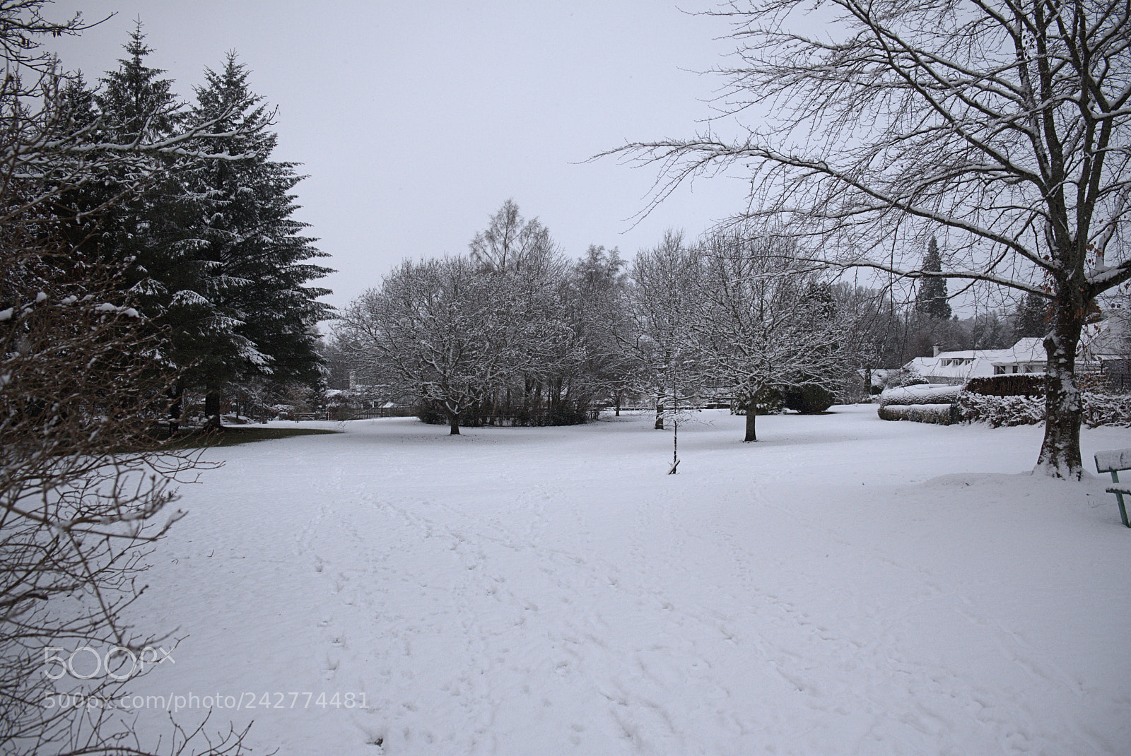 Fujifilm X-T20 sample photo. Ochlochy park raw () photography