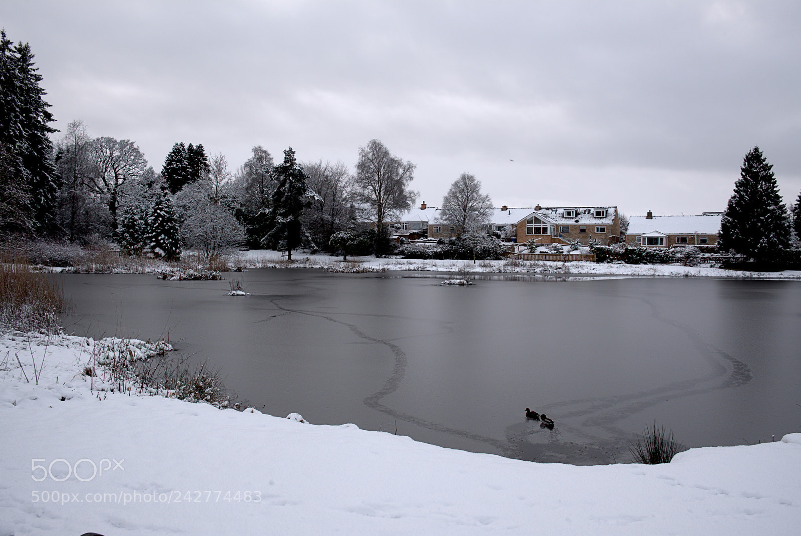 Fujifilm X-T20 sample photo. Ochlochy park raw () photography